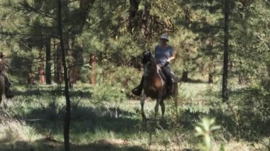 Two horseback riders go off trail in Washington State to enjoy a sunny day in the forest.
