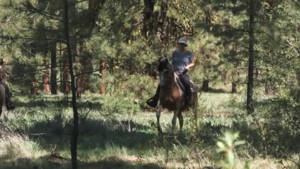 Two Horseback Riders Trail Washington State Enjoy Sunny Day Forest — ストック動画