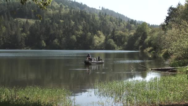 Personne Méconnaissable Pêche Partir Petit Bateau Bord Lac Dans Forêt — Video