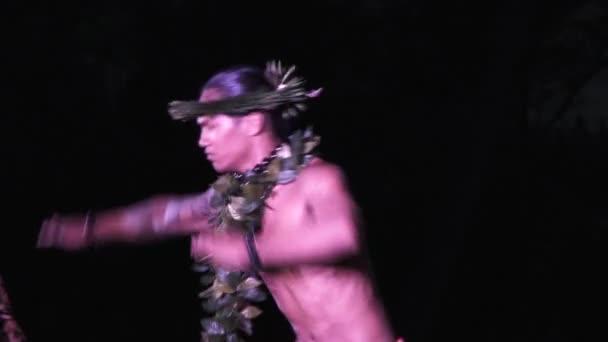 Male Hula Dancers Perform Traditional Dance Evening Luau Islands — Stock Video