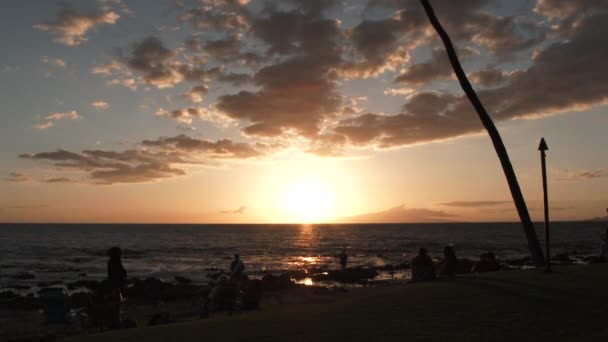 Camera Tilt Palm Tree Sunset Ocean Beach Hawaii Unrecognizable People — Stockvideo
