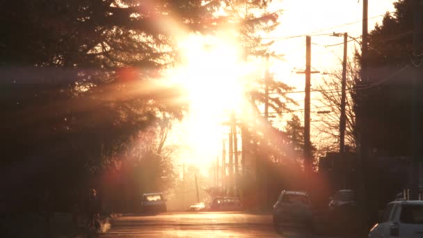 Sonne Scheint Hell Und Warm Einem Kühlen Morgen Der Nachbarschaft — Stockvideo