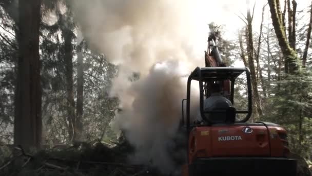 Person Working Excavator Moves Stumps Limbs Burn Fire — Stockvideo