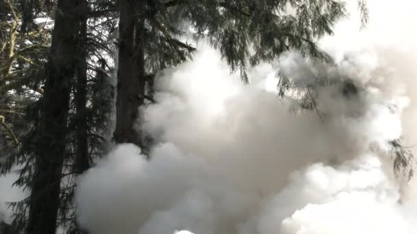 Большие Дымовые Шлейфы Растут Лесах Огня Горящего Внизу — стоковое видео