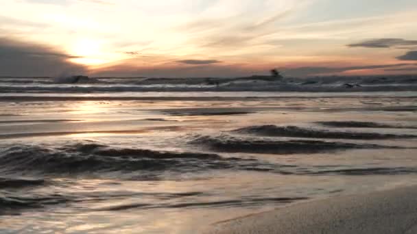 Acqua Dolce Trova Sua Strada Attraverso Sabbia Nell Oceano Mentre — Video Stock