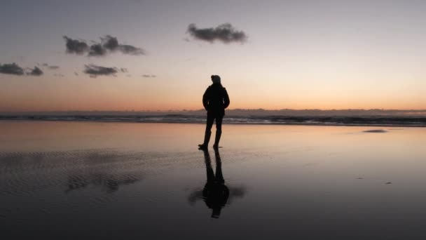 Γυναίκα Στέκεται Αντανακλαστική Αμμώδη Παραλία Στο Ηλιοβασίλεμα Απολαμβάνει Θέα Όλα — Αρχείο Βίντεο