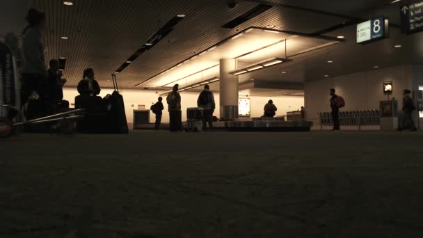 Havaalanındaki Bagaj Teslimatında Düşük Açılı Statik Çekim — Stok video
