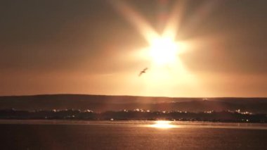 Kumlu sahile vuran dalgalar, kumsalda güneş gibi parlarken ve kuşlar uçarken..