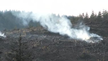 Büyük çalı yığınından çıkan duman, ormancıların temiz yollarla ağaçları temizlemesinden sonra havayı doldurur..