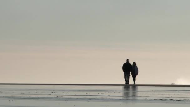 Unrecognizable Silhouetted Couple Walk Together Oregon Coast Low Tide — Stock Video