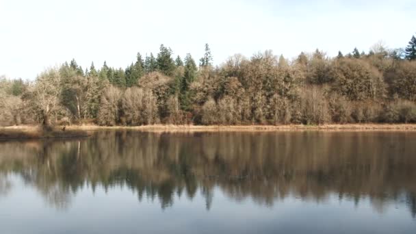 Camera Pan Calm Lake Autumn Forest Trees Reflecting Water — Stock Video