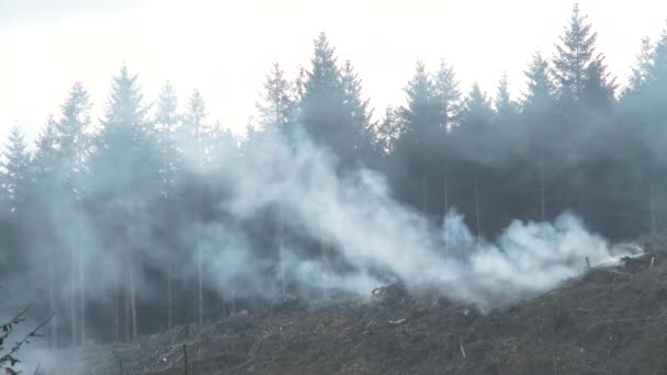 Lucht Wordt Dik Met Rook Als Wind Toeneemt Boshellingen — Stockvideo