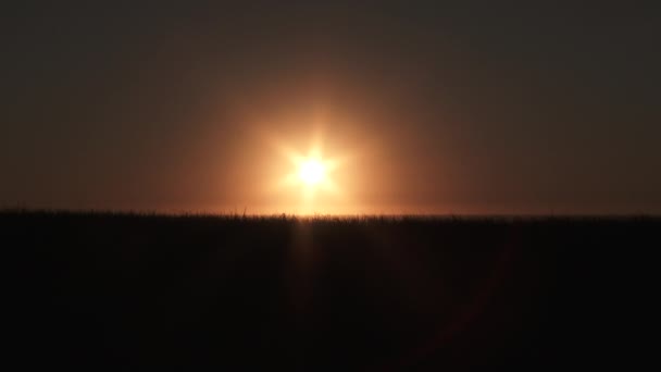 Szeroki Kąt Zachodzącego Słońca Nad Piaszczystą Wydmą Trawą Plażową Niskim — Wideo stockowe