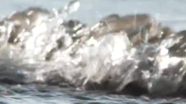 Kıyıya çarpan küçük dalgalara yaklaş.