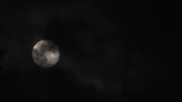 Wolken Passeren Heldere Volle Blauwe Maan Nacht Hemel Die Zwart — Stockvideo