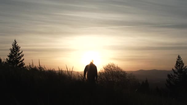 Black Transition Reveal Person Walking Field Viewpoint Sunrise Beautiful Morning — Stock Video