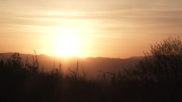 太陽は 風に吹いている背の高い草を通して輝く丘の地平線の真上に昇る オレゴン州ポートランド東の谷に一日をもたらす — ストック動画