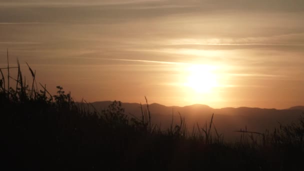 オレゴン州ポートランド東側の谷から風が吹く背の高い草で丘の中腹に日の出風光明媚な — ストック動画