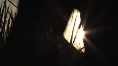 Güneşin doğuşundan aydınlanan insan, uzun çimenli arazide tek başına yürür, uzaklarda ve tanınamaz halde..