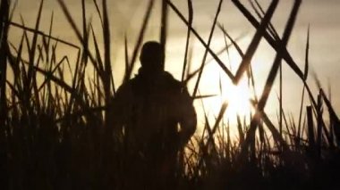 Sıcak, güneşli bir gökyüzünde, model serbest bırakılan kişi güneşli bir günde rüzgarda esen uzun otların arasında yürür..