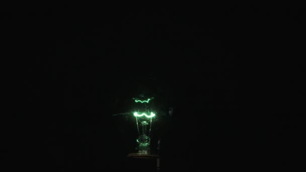 紧贴绿色的派对灯泡 黑色背景 灯亮着 灯关着 闪烁着 无缝的回旋 — 图库视频影像
