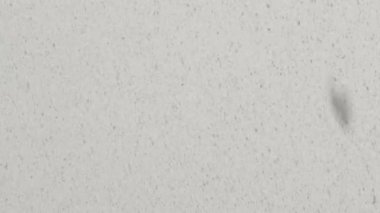 Tam çerçeve arkaplan, şiddetli kar yağışı yarı hızda, fırtınalı beyaz gökyüzüne karşı ağır çekim.