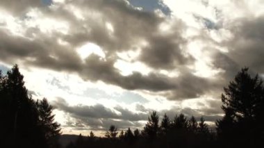 Bir saat geçiyor güneş bulutların arasından parlarken orman ağaçlarının üzerinde gökyüzü gün batımına doğru daha açık hale geliyor..