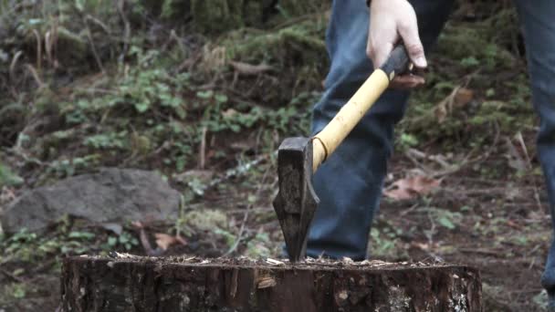 Persoon Hakt Hout Bos Slow Motion — Stockvideo