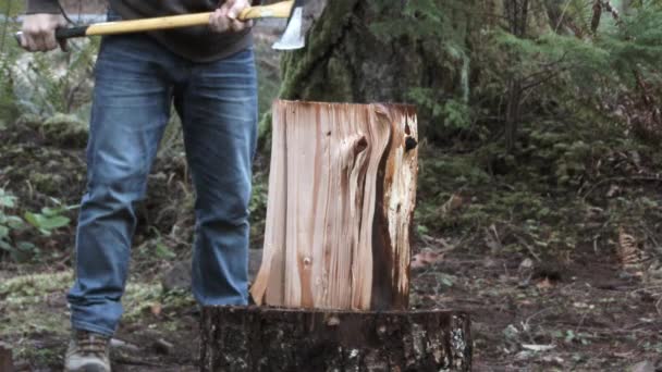 Man Hakken Grote Log Brandhout Buiten Pacific Noordwest Bos — Stockvideo