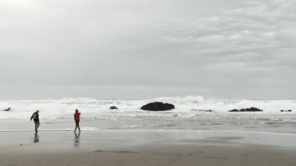 10代の2人の子供がビーチで寒さに向かう — ストック動画