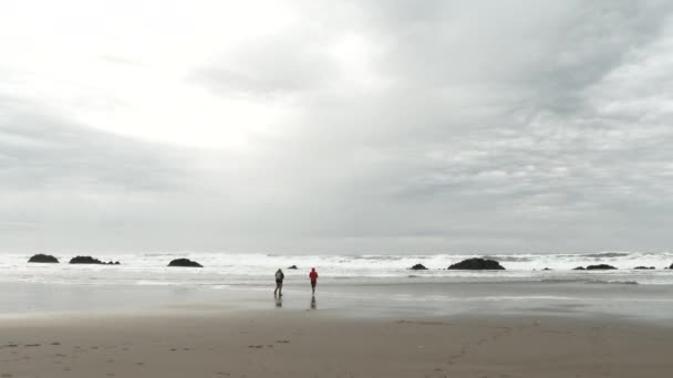 二人の十代の子供たちは自分自身にビーチを楽しむために一日のためにスキップします — ストック動画