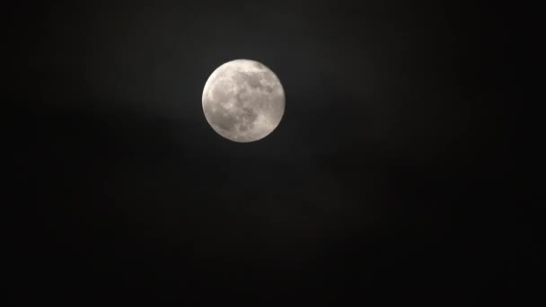 Time Lapse Bright Full Moon Rising Night Sky Dark Clopuds — Stock Video