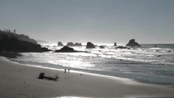 Wide Shot Oregon Coast Couple Walking Dog Sandy Shore Cannon — Stock Video