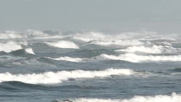 Stormen Över Havet För Alla Vågorna Till Stranden — Stockvideo