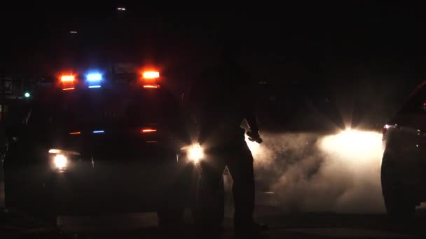 Polizeiauto Blinkt Polizisten Patrouillieren Nachts Den Straßen — Stockvideo