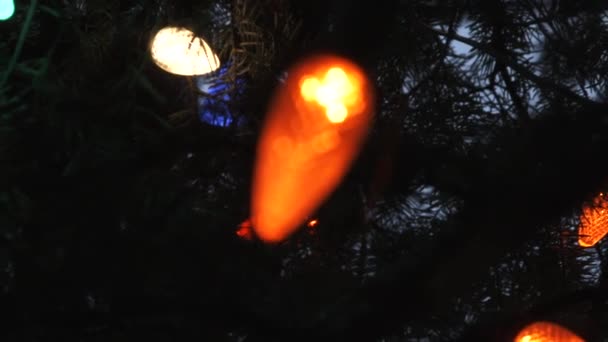 Feche Luzes Natal Árvore Com Foco Pan Rack Para Transição — Vídeo de Stock