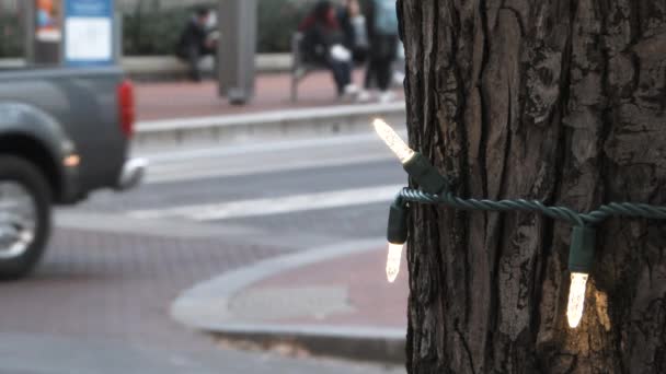 Christmas Lights Decorate Tree Downtown Portland Oregon Blurred Background People — Stock Video