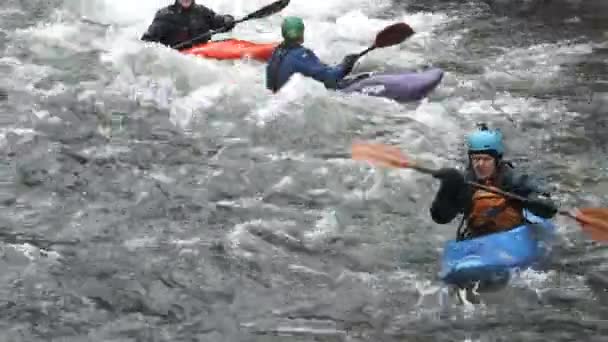 カヤックグループは オレゴン州の川の急流を漕ぐ日をお楽しみください — ストック動画