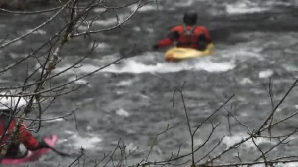 Grupa Nierozpoznawalnych Ludzi Spływa Kajakiem Rzekach Oregonie Jesienią Ulewnym Deszczu — Wideo stockowe