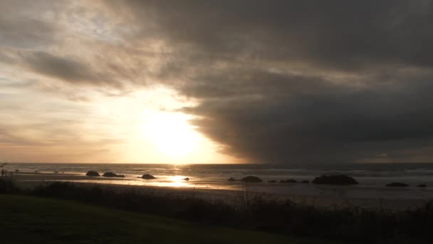 Realtid Natursköna Svävande Fåglar Flyger Förbi Solnedgången Stranden Oregon Coast — Stockvideo