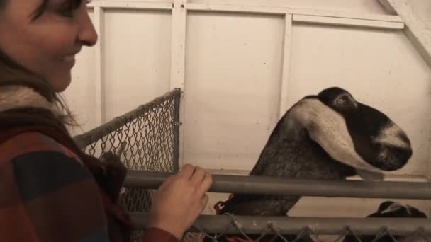 模特儿被释放的女人在农场遇见了一只友善的山羊 — 图库视频影像
