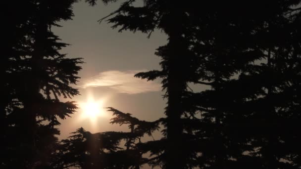 Ήλιος Ανατέλλει Μέσα Από Ένα Φυσικό Παράθυρο Στα Δέντρα — Αρχείο Βίντεο