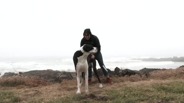 Model Vrijgegeven Vrouw Speelt Met Een Grote Dane Oregon Coast — Stockvideo