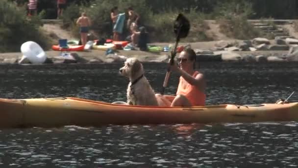 Una Chica Con Perro Disfrutar Día Lago Kayak Alrededor — Vídeos de Stock