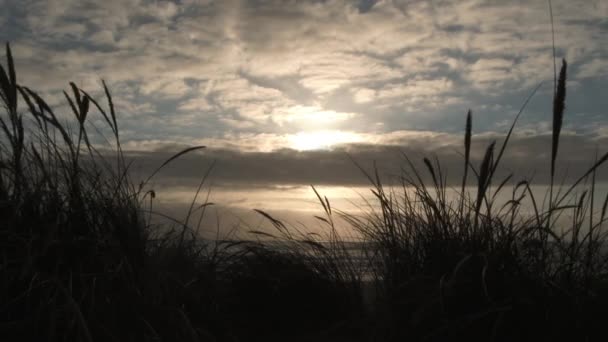 オレゴン州の海岸で日没時に風に吹かれながら砂浜の草を持つ砂丘からのリアルタイムの風景 — ストック動画