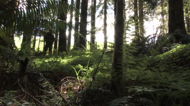 Két ember sétál a buja erdőben Washington államban a napsütéses napon..