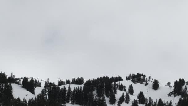 在较低的三分之一的框架内 风暴云在雪地的森林山脊上空掠过 背景中只隐约露出胡德峰的一角 — 图库视频影像