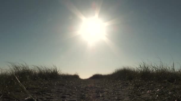 シルエットのカップルは 明るい太陽が輝く美しい青空の日に向かって砂の道を歩く — ストック動画