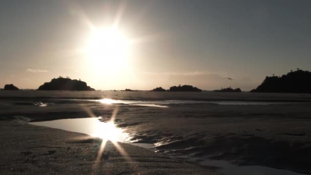 Soleil Reflète Dans Marée Sur Côte Oregon Lors Une Belle — Video