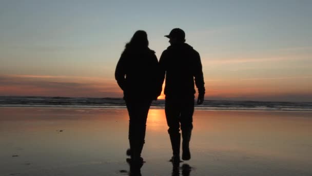 两只爱情鸟牵着手走在沙滩上 并在夕阳西下的亲吻中走近对方 — 图库视频影像